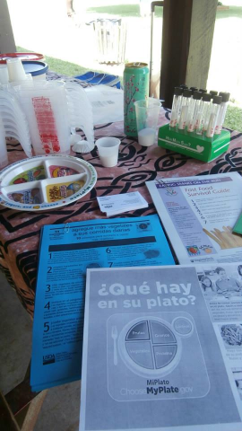 Making Health Information Fun at the CHIP of NRV Hispanic Health Fair